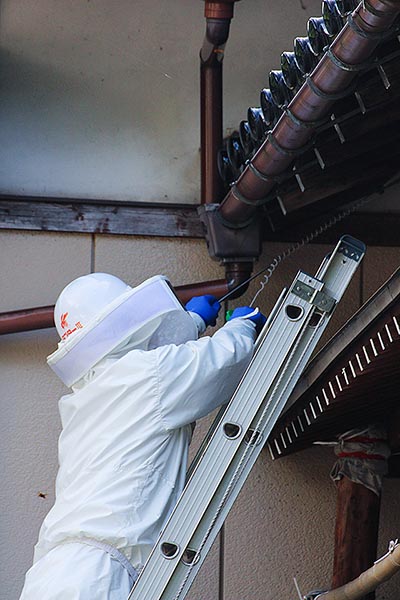 こんなハチ駆除業者に注意！