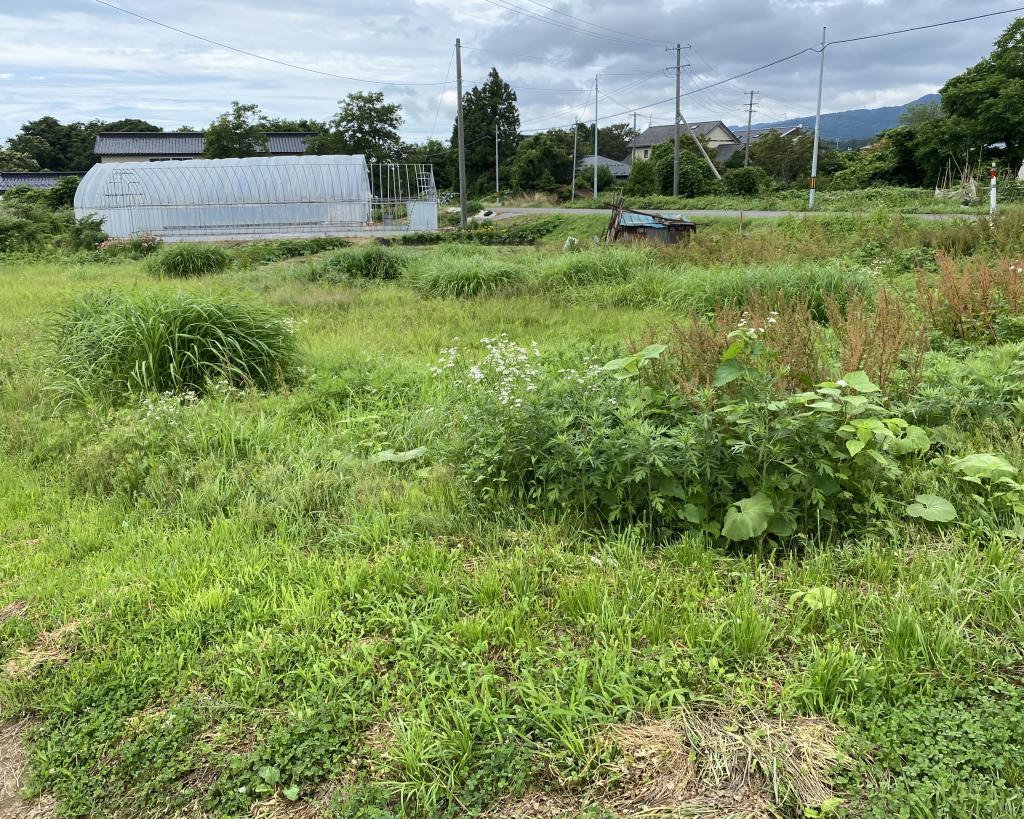 秋田県にかほ市草刈り！