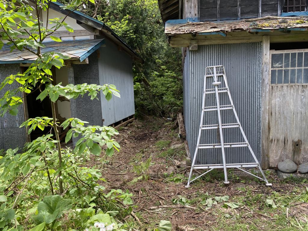 伐採作業！由利本荘市