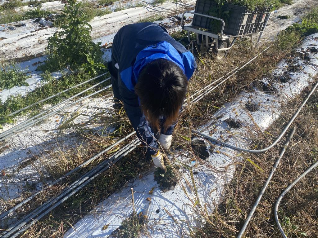 天気に負けない！！片付け作業！！