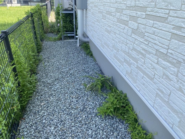 除草作業!