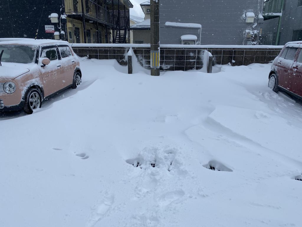 秋田市除雪