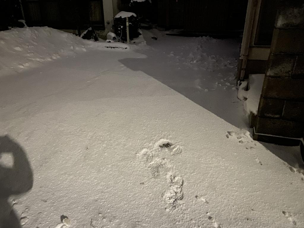 秋田市除雪