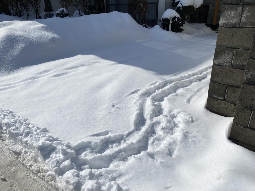 秋田市除雪‼︎　積雪増加‼︎