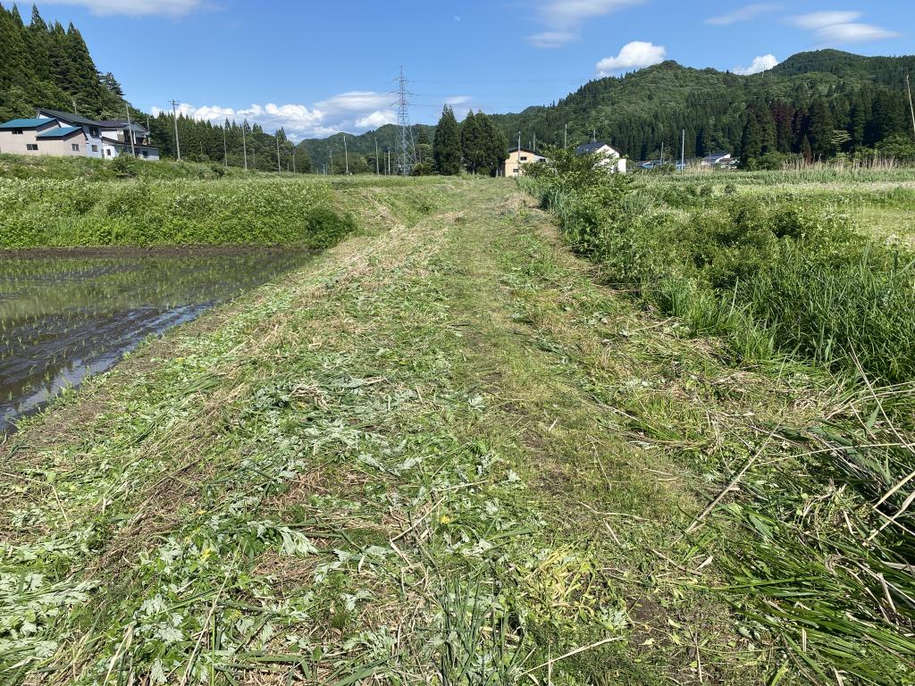 秋田草刈り作業