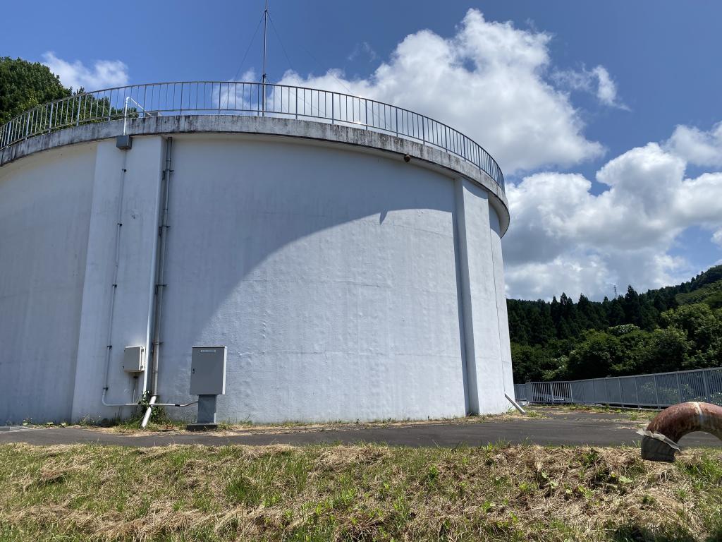 秋田スズメバチ駆除作業！