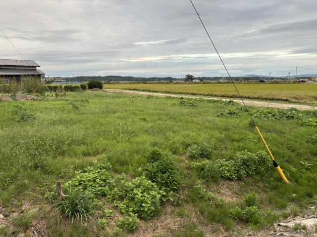 秋田市草刈り作業!