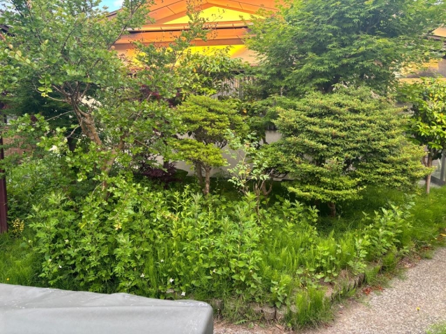 秋田市草刈り作業!
