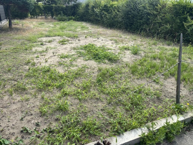 除草作業!