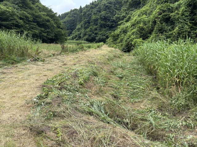 秋田市草刈り作業